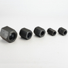 Steel Hex Nuts
